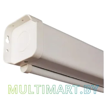 Проекционный экран Lumien Master Picture 154x240 (LMP-100134) картинка 2